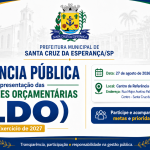audiencia-publica-ldo-2027